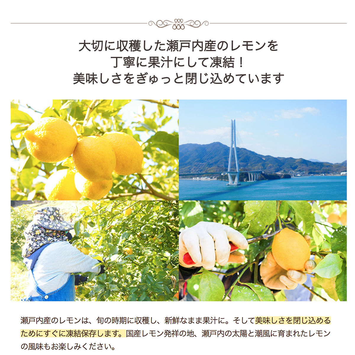 日本henri C 法式madeleine 瀨戶內檸檬瑪德琳蛋糕禮盒 1盒5件 市集世界 日本市集 日本伴手禮及零食 日本市集 好想買嘢vloveshopping
